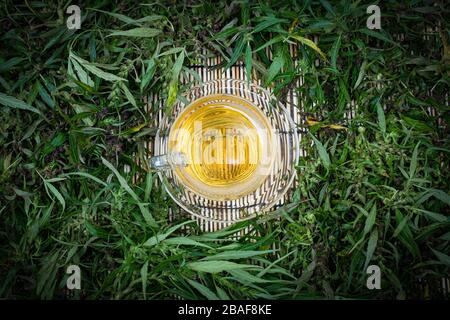 Cannabistee in einer Tasse aus klarem Glas mit grünem Marihuanablatt und Stamm auf Holztisch am verschwommenen Hintergrund, Kräutergetränke und gesundes Getränkekonzept, Oberteil Stockfoto