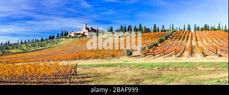 Eindrucksvolle bunte Weinberge und alte Burg, Schloss Banfi, Toskana, Italien. Stockfoto