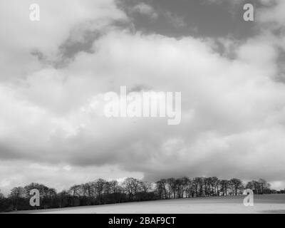 The Chiltern Hills, AONB, Black and White Landscape, Winter Sky's, vom Ridgeway National Trail, Nufied, Oxfordshire, England, Großbritannien und GB aus betrachtet. Stockfoto