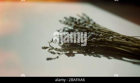 Lavendel auf einem weißen Tisch mit selektivem Fokus. Romantischer Hintergrund mit trockenen Blumen. Vintage mit leichtem Flare und Kopierbereich. Stockfoto