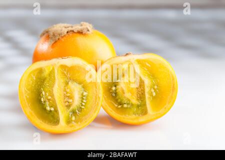 Lulo- oder Naranjillafrucht auf weißer, subtropischer mehrjähriger Pflanze des Nordwesten Südamerikas, Nahbild, Solanum quitoense Stockfoto