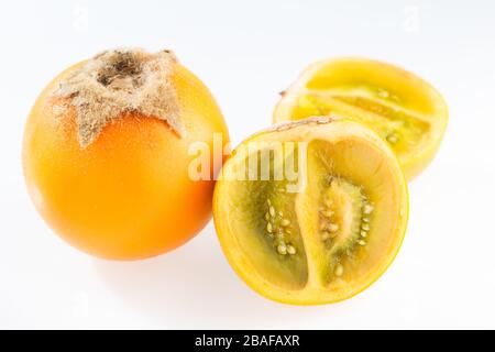 Lulo- oder Naranjillafrucht auf weißer, subtropischer mehrjähriger Pflanze des Nordwesten Südamerikas, Nahbild, Solanum quitoense Stockfoto