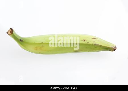 Grüne Banane auf weißem Hintergrund, Nahaufnahme Stockfoto