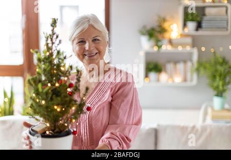 Seniorin hält kleinen vergossen Weihnachtsbaum Stockfoto
