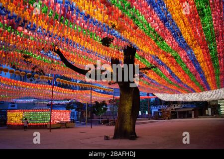 Beleuchtete Lotuslaternen zum Geburtstag Buddhas im buddhistischen Tempel Jogyesa, Seoul, Korea Stockfoto