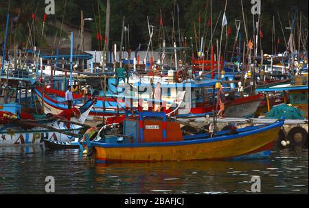 Walbeobachtungsfahrt in Sri Lanka Stockfoto