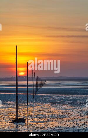 Sonnenuntergang über dem Pilgrim's Causeway auf Lindisfarne, Northumberland, England, Großbritannien Stockfoto