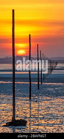 Sonnenuntergang über dem Pilgrim's Causeway auf Lindisfarne, Northumberland, England, Großbritannien Stockfoto