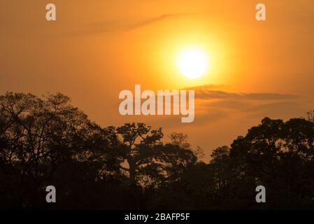 MONTES AZULES NATURHEILIGTUM, CHIAPAS/MEXIKO - 17. MAI 2019. Sonnenuntergang am Lacantun River im Lacandona Dschungel. Stockfoto