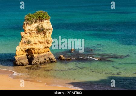 Küste von Lagos in Portugal, Dona Ana Beach Stockfoto