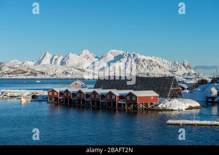 Blick auf die Fischerhäuschen im Svinoeya Rorbuer (Hotel) in Svolvaer, einer Fischerstadt auf den Lofoten Inseln, Nordland County, Norwegen. Stockfoto