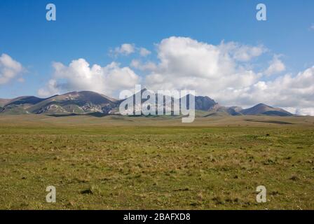 Riesige Kirgisische Steppe, in der Nähe des Songkol-Sees. Berge im Hintergrund. Kirgisistan Stockfoto