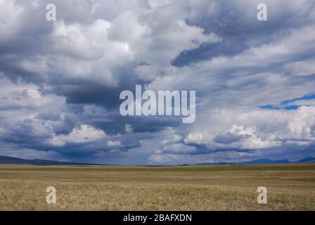 Riesige Kirgisische Steppe, in der Nähe des Songkol-Sees. Dramatischer Himmel mit epischen Wolken. Kirgisistan. Stockfoto