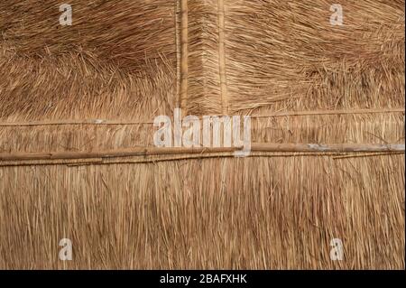 Struktur und Hintergrund auf dem Dach von Häusern aus Gras. Häufig in Thailand gefunden. Stockfoto