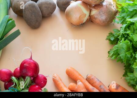 Radieschen und andere organische Vegetale auf orangefarbenem Hintergrund Stockfoto