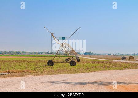 Zentrieren Sie die Drehsprinkleranlage in einem landwirtschaftlichen Bereich im israelischen Beit Shean Valley. Trockener Sommertag. Lange Ansicht mit Kopierbereich. Stockfoto