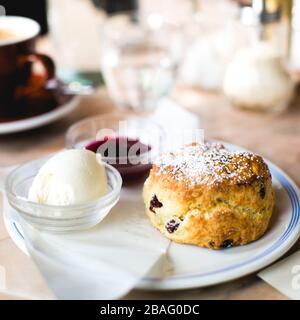 Ein Obstscone mit Marmelade und Sahne auf einem weißen und blauen Teller, der an einem belebten Tisch in einem Café gezeigt wird. Offen im quadratischen Format aufgenommen. Stockfoto