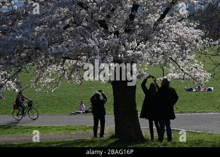 27. März 2020, Hessen, Frankfurt am Main: Viele Ausflügler genießen das schöne Wetter auf einer Fahrt auf den Lohrberg im Norden der bei den Frankfurtern beliebten Bankenstadt. Foto: Arne Dedert / dpa Stockfoto