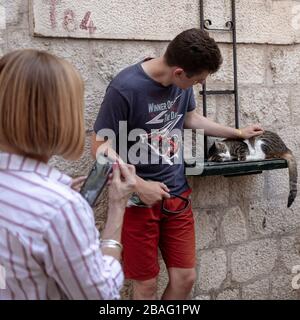 Montenegro, 17. September 2019: Touristen posieren und fotografieren mit einer Napfkatze in der Altstadt von Kotor Stockfoto