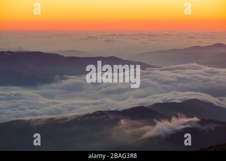 Schöne Sonnenaufgangslandschaft von der Bergkuppe in den rumänischen Karpaten. Niedrige Wolken im Tal Stockfoto