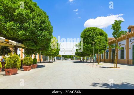 Palma Mallorca Stadtzentrum Plaza Espanya. Eintritt in den Zentralpark von Palma, Park der Stationen oder Parc de les Estacions. Palmas Bus- und Bahnhof Stockfoto