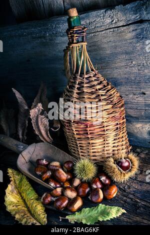 Frisch geerntete Kastanien - Nahaufnahme Stockfoto