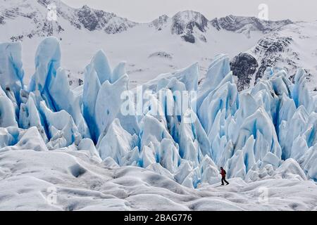 Ein Wanderer auf blauem Eis am Perito Moreno Glacier, einer der wichtigsten Touristenattraktionen in Patagonien, im Los Glaciares National PA Stockfoto