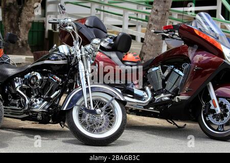 Zahlreiche Motorräder nebeneinander Stockfoto