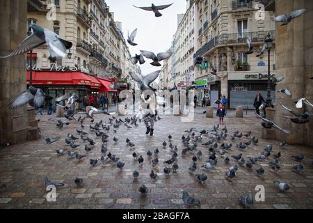 Paris, Frankreich; 28. Januar 2015: Tauben fliegen auf einer Pariser Straße Stockfoto