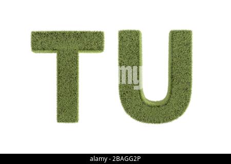 3D-Rendering, Vorderansicht von Grüngrasbuchstaben in Großbuchstaben, Naturschriftart für Ihr Design, isoliert auf weißem Hintergrund. Stockfoto