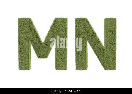 3D-Rendering, Vorderansicht von Grüngrasbuchstaben in Großbuchstaben, Naturschriftart für Ihr Design, isoliert auf weißem Hintergrund. Stockfoto