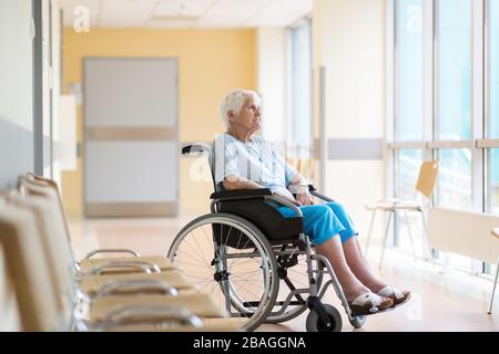 Seniorin sitzt im Rollstuhl im Krankenhaus Stockfoto