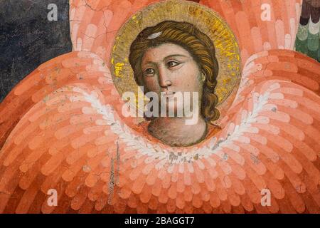 Detail eines Erzengels des Jüngsten Gerichts von Pietro Cavallini. Rom, Italien Stockfoto