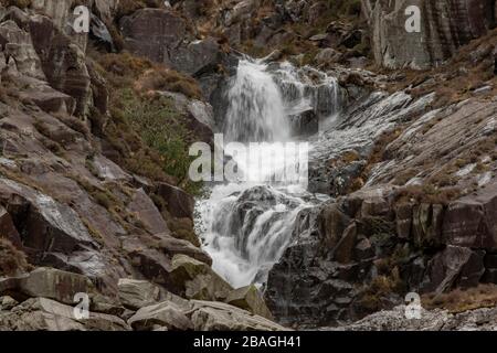 Wilde walisische Feral Longhorn Mountain Goat in Snowdonia North Wales Stockfoto