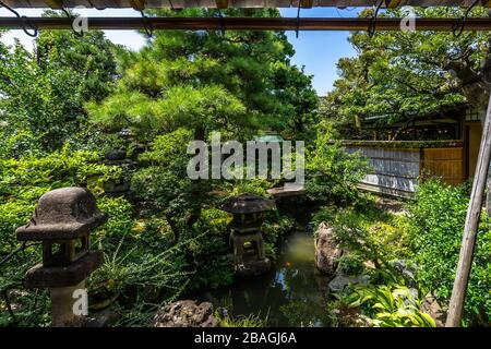 Der schöne Innengarten des Hauses Nomura Samurai (Nomura-ke), eines der am besten erhaltenen historischen Gebäude im Distrikt Nagamachi von Kanazawa Stockfoto