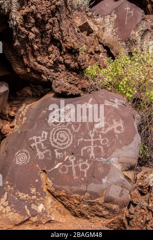 Petroglyphen, Nampaweap Petroglyph Site, Grand Canyon-Parashant National Monument, Arizona Strip, Arizona. Stockfoto