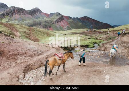 Lokale Führer mit Pferden gehen ins Tal, Peru Stockfoto