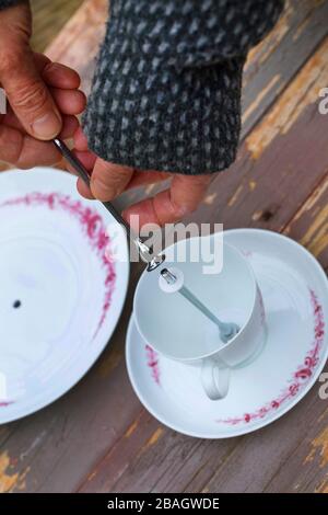 Birdhouse wird mit einem alten Kaffeeset hergestellt, Serienbild 4/6, Deutschland Stockfoto