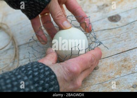 Halter für Fettkugeln, Serienbild 4/6, Deutschland Stockfoto