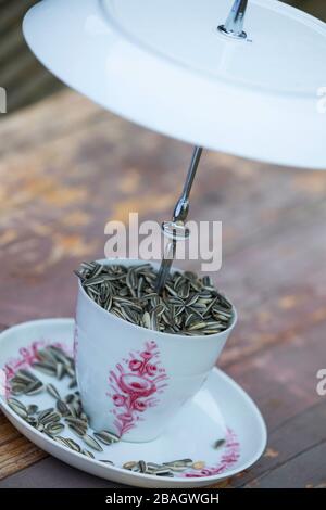 Birdhouse wird mit einem alten Kaffeeset hergestellt, Serienbild 6/6, Deutschland Stockfoto