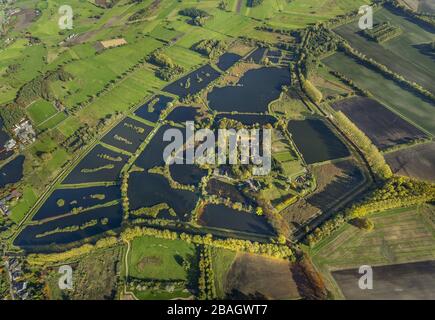 Schloss Rietberg und Rietberger Fischteiche, 26.10.2013, Luftbild, Deutschland, Nordrhein-Westfalen, Rietberg Stockfoto