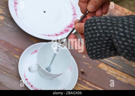 Birdhouse wird mit einem alten Kaffeeset hergestellt, Serienbild 4/6, Deutschland Stockfoto