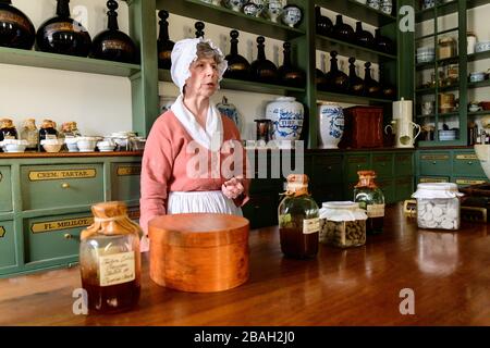 Pasteur & galt Apothecary Shop in der Duke of Gloucester Street Stockfoto