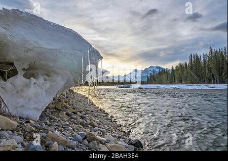 Eis am Ufer des Bow River bei Canmore, Alberta, Kanada Stockfoto