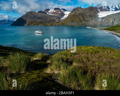 Atemberaubender Blick auf Gold Harbour, Südgeorgien-Insel mit einer großen Königspinguinkolonie Stockfoto