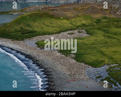 Atemberaubender Blick auf Gold Harbour, Südgeorgien-Insel mit einer großen Königspinguinkolonie Stockfoto