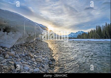 Eis am Ufer des Bow River bei Canmore, Alberta, Kanada Stockfoto