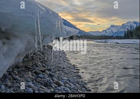 Eis am Ufer des Bow River bei Canmore, Alberta, Kanada Stockfoto