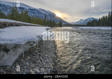 Eis am Ufer des Bow River bei Canmore, Alberta, Kanada Stockfoto