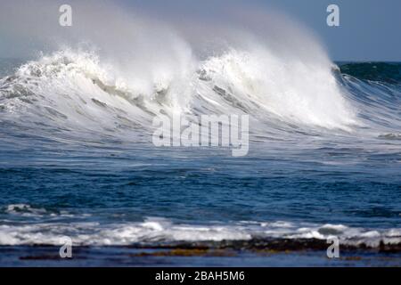 Wellen, die in Nicaragua an Land krachen. Stockfoto